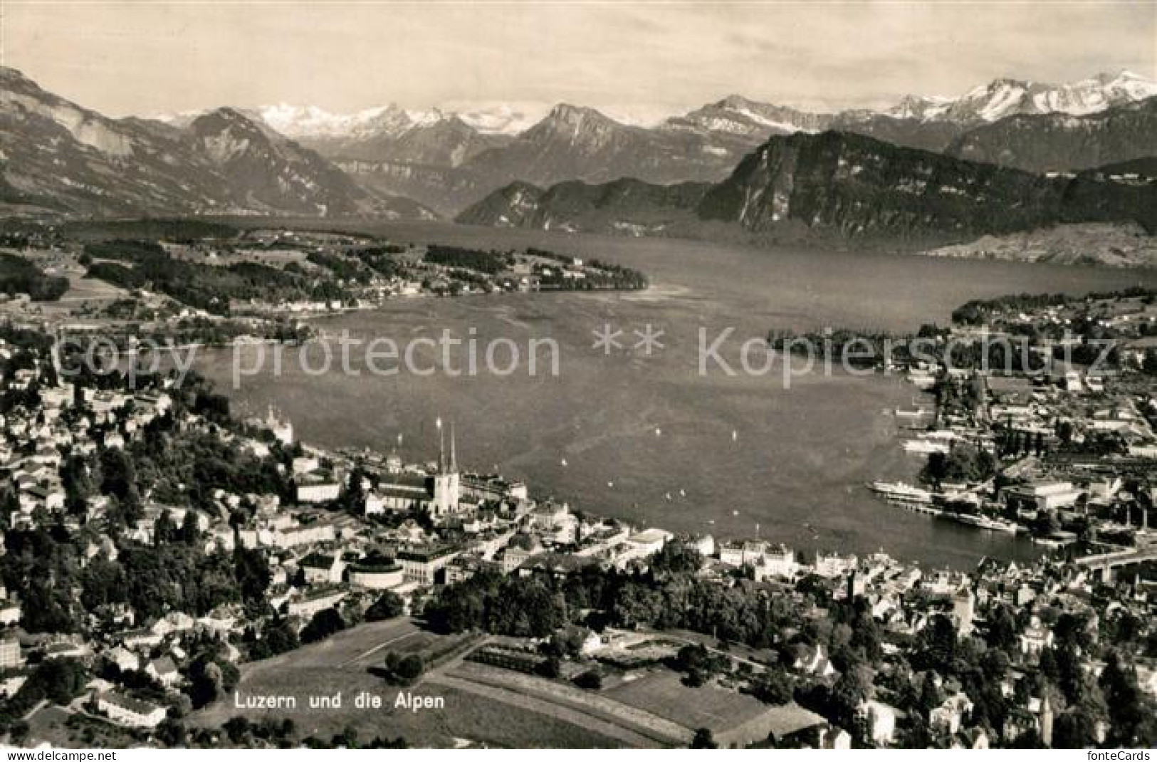 13278149 Luzern LU Fliegeraufnahme See Mit Alpen Luzern LU - Sonstige & Ohne Zuordnung