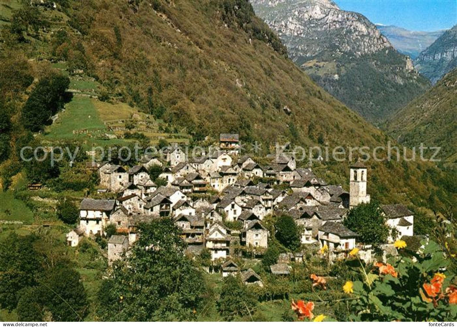 13266967 Corippo Vallee Verzasca Corippo - Other & Unclassified