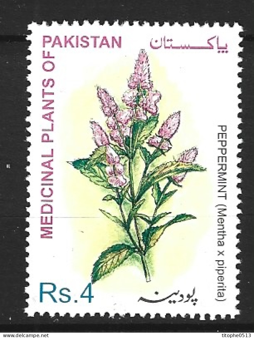 PAKISTAN. N°1063 De 2001. Menthe. - Plantas Medicinales