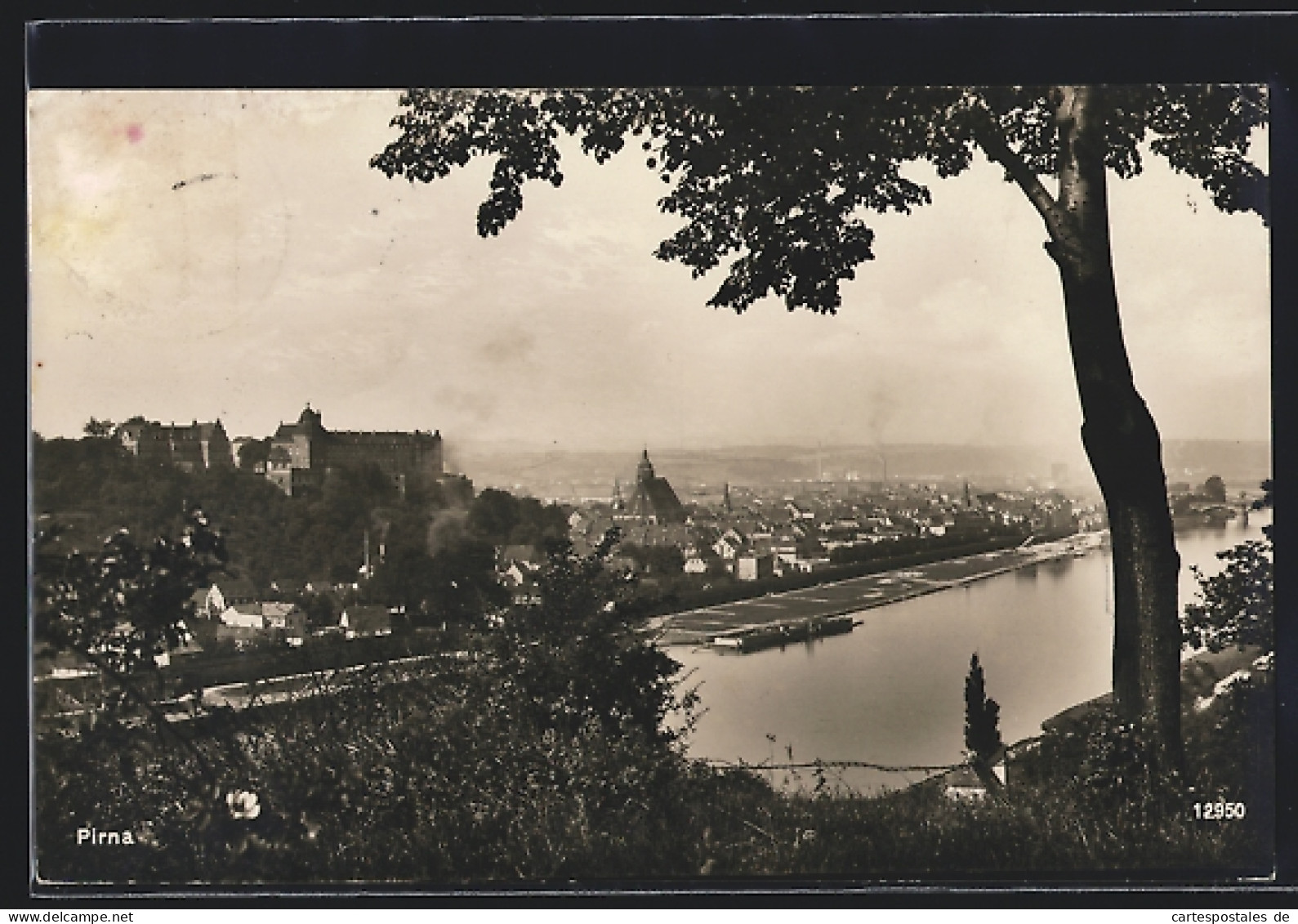 AK Pirna, Blick über Die Elbe Auf Den Ort  - Pirna