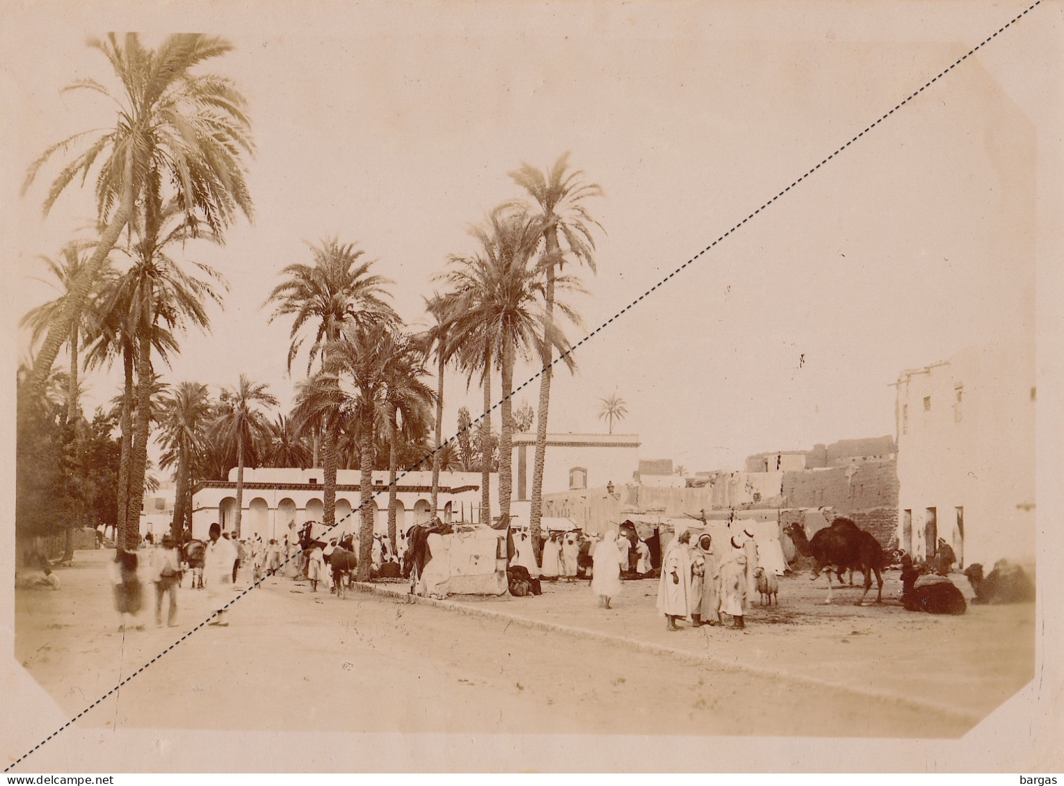 1891 Photo Afrique Algérie Place Du Marché à Laghouat Souvenir Mission Géodésique Militaire Boulard - Gentil 18x13cm - Antiche (ante 1900)