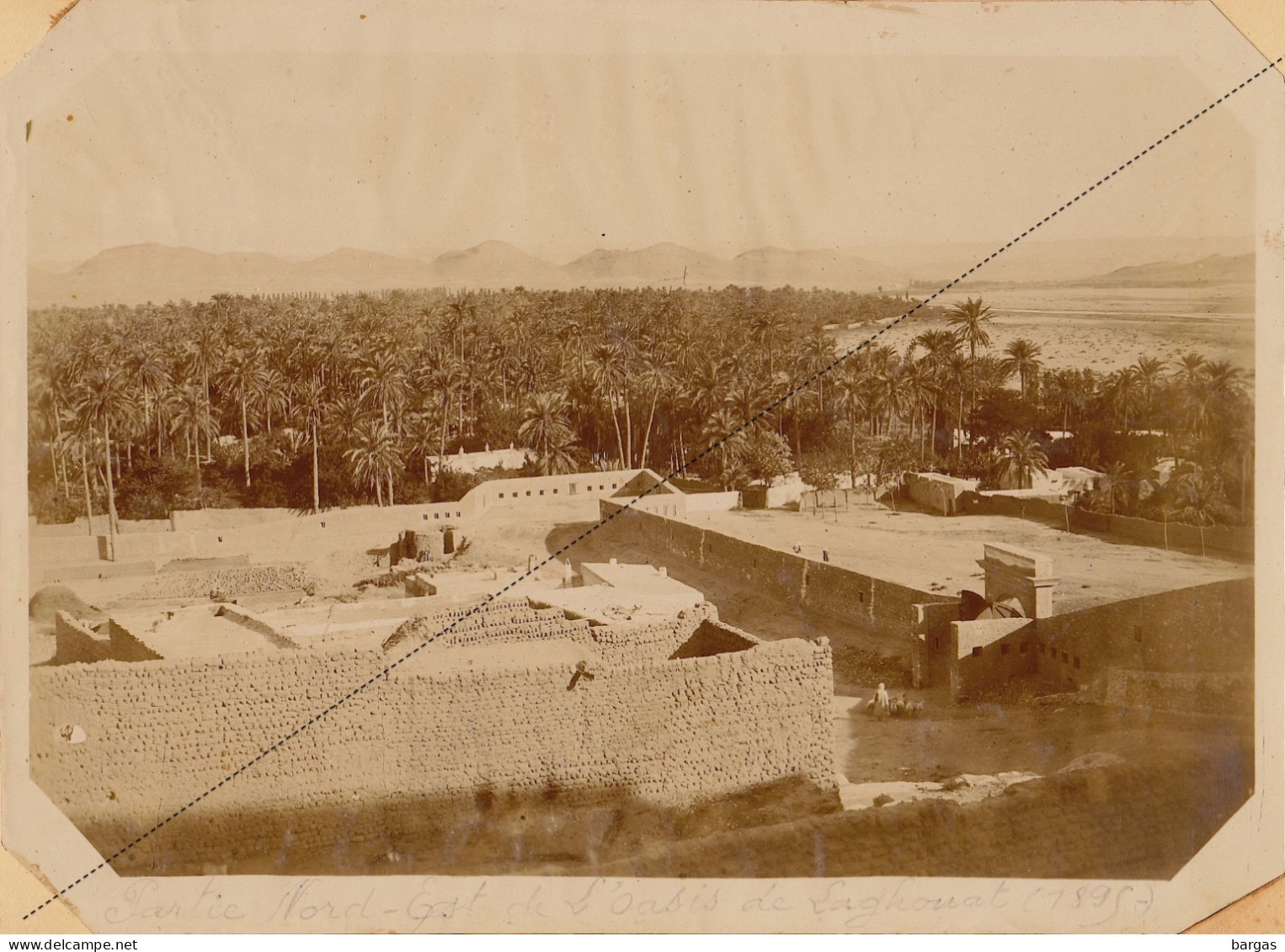 1891 Photo Afrique Algérie Partie NE De L'oasis à Laghouat Souvenir Mission Géodésique Militaire Boulard - Gentil - Antiche (ante 1900)