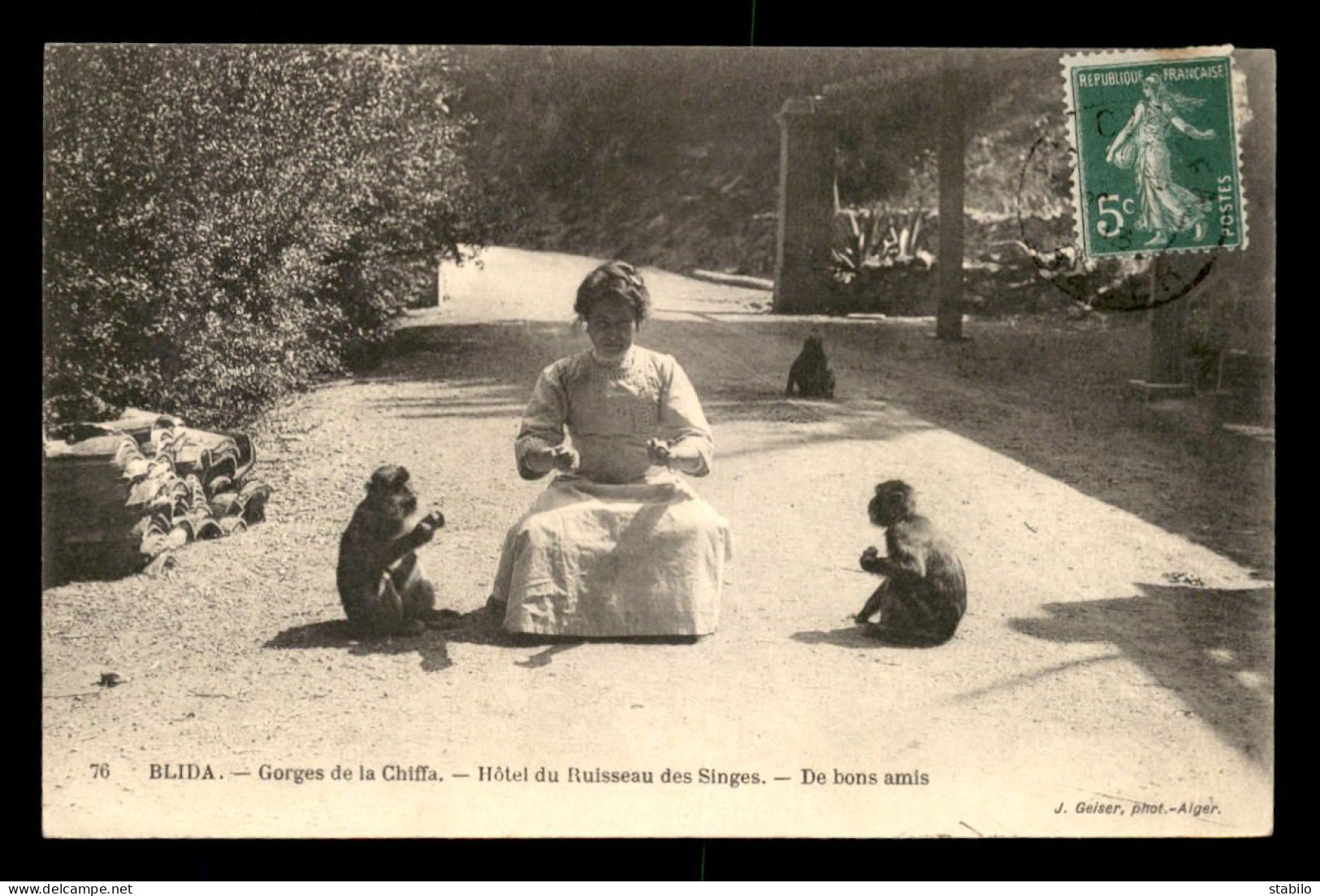 ALGERIE - BLIDA - LES GORGES DE LA CHIFFA - HOTEL DU RUISSEAU DES SINGES - DE BONS AMIS - EDITEUR GEISER - Blida