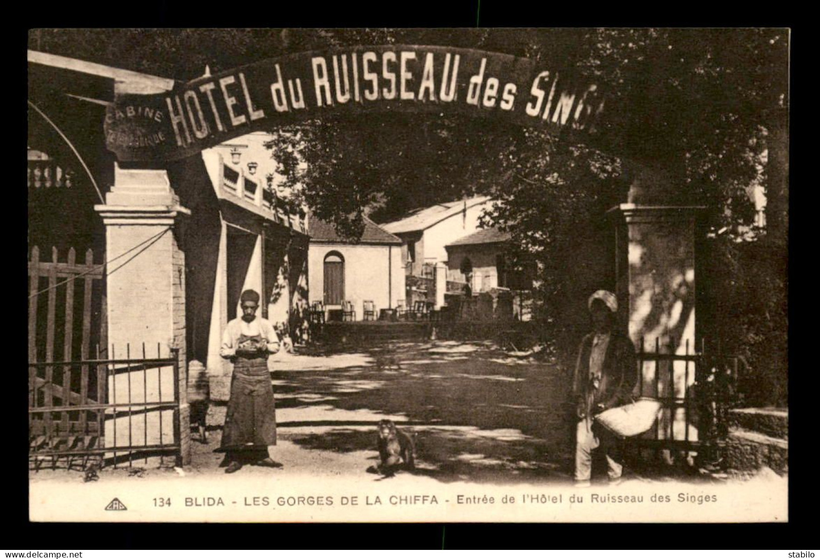 ALGERIE - BLIDA - LES GORGES DE LA CHIFFA - ENTREE DE L'HOTEL DU RUISSEAU DES SINGES - Blida