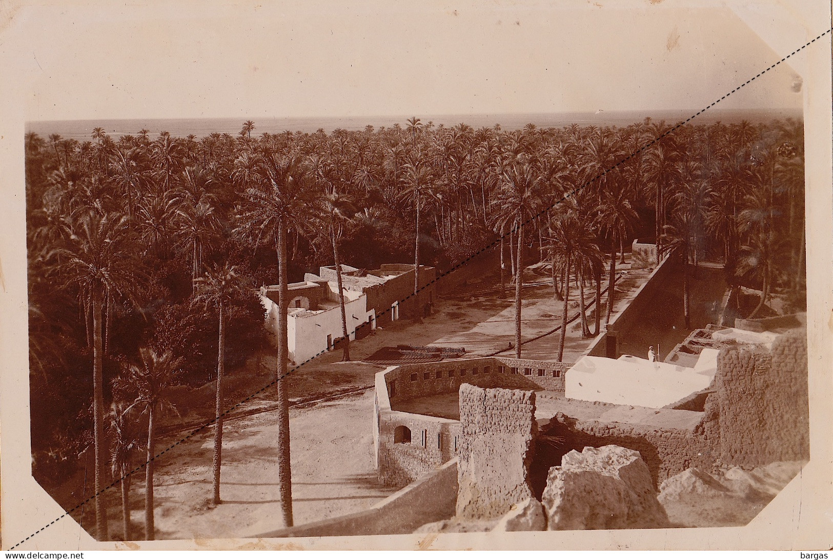1891 Photo Afrique Algérie Partie Sud  De L'oasis à Laghouat Souvenir Mission Géodésique Militaire Boulard - Gentil - Antiche (ante 1900)