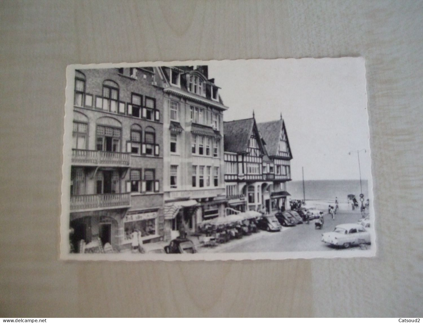 Carte Postale Ancienne WESTENDE Avenue Des Mouettes-Meeuwenlaan - Westende