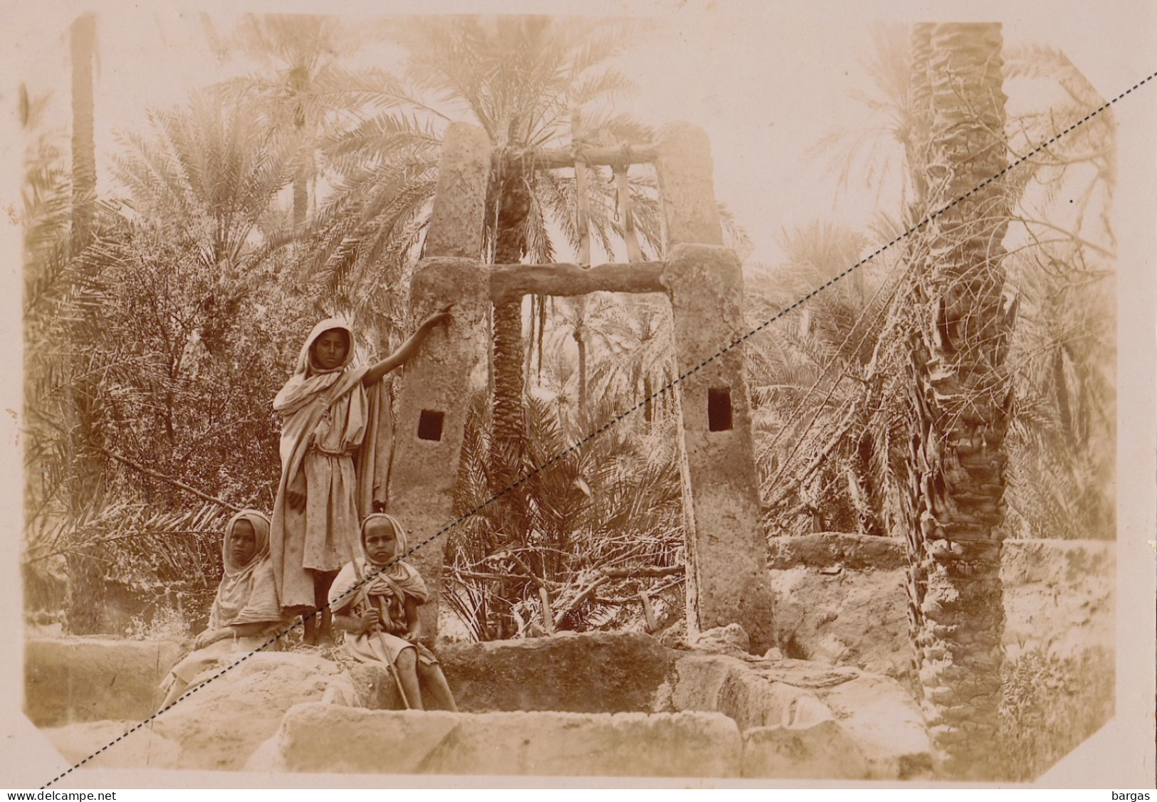 1891 Photo Afrique Algérie Puit Dans Une L'oasis - Laghouat Souvenir Mission Géodésique Militaire Boulard - Gentil - Old (before 1900)