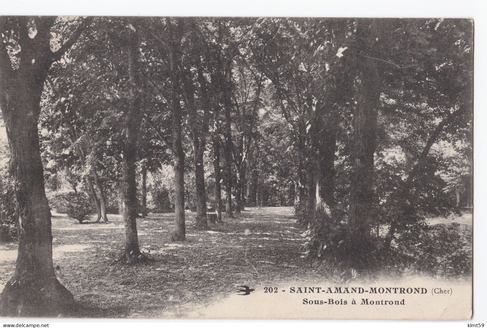 Saint-Amand-Montrond - Sous-Bois à Montrond - Saint-Amand-Montrond