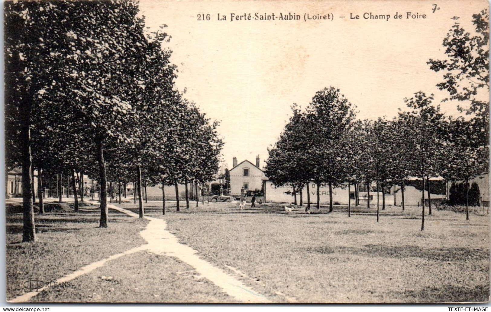 45 LA FERTE SAINT AUBIN - Le Champ De Foire, Vue Generale  - La Ferte Saint Aubin