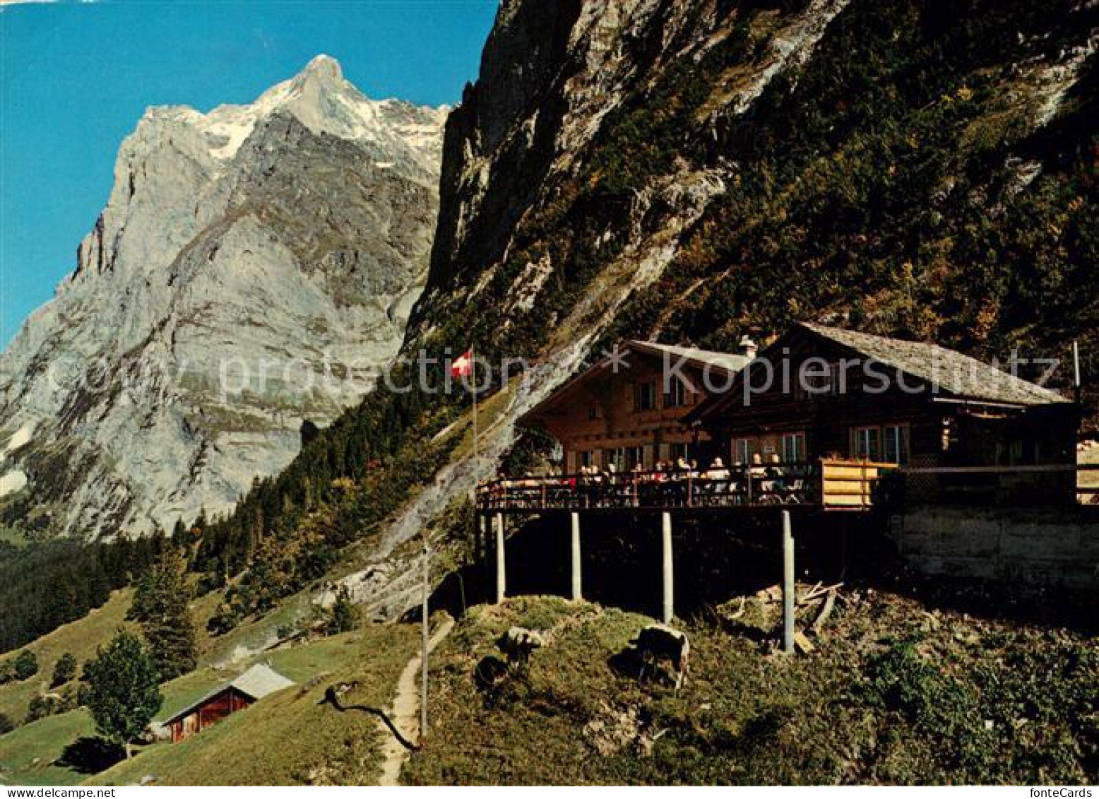 13219847 Grindelwald Bergrestaurant Auf Pfingstegg Wetterhorn Berner Alpen Grind - Autres & Non Classés