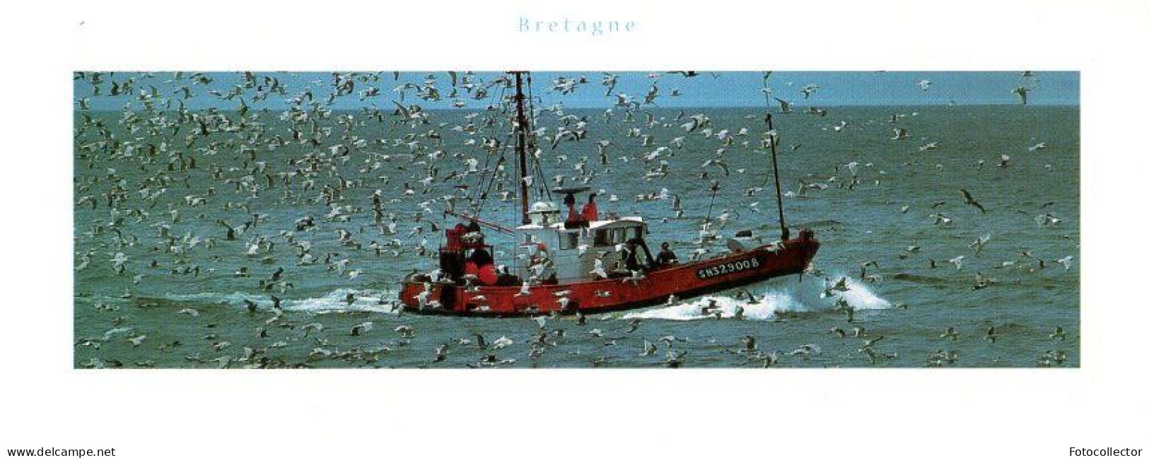 Retour De Pêche Du Chalutier Immatriculé SN329008 (Saint Nazaire 44) - Fishing Boats