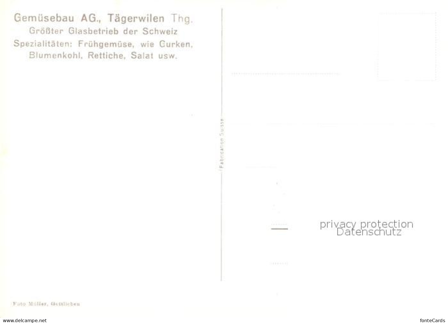 13211287 Taegerwilen Gemuesebau AG  Taegerwilen - Autres & Non Classés