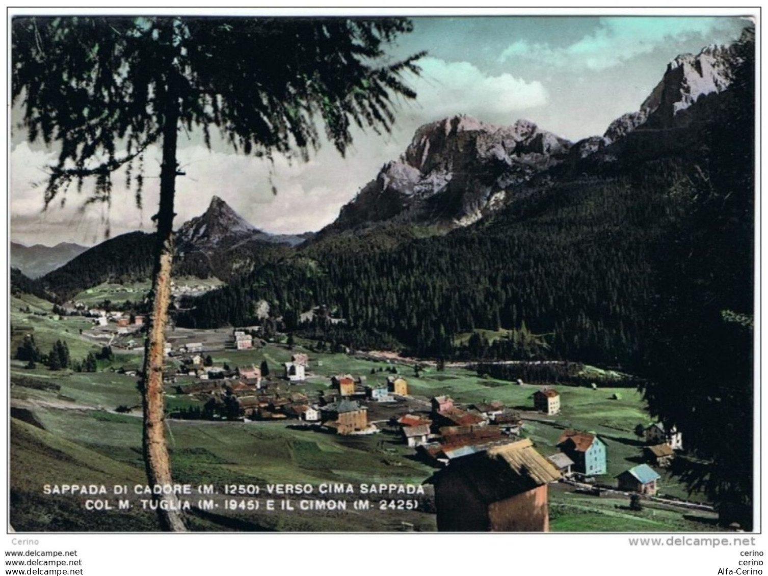 SAPPADA  DI  CADORE:  VERSO  CIMA  SAPPADA  -  FOTO  COLORATA  A  MANO  -  FG - Belluno