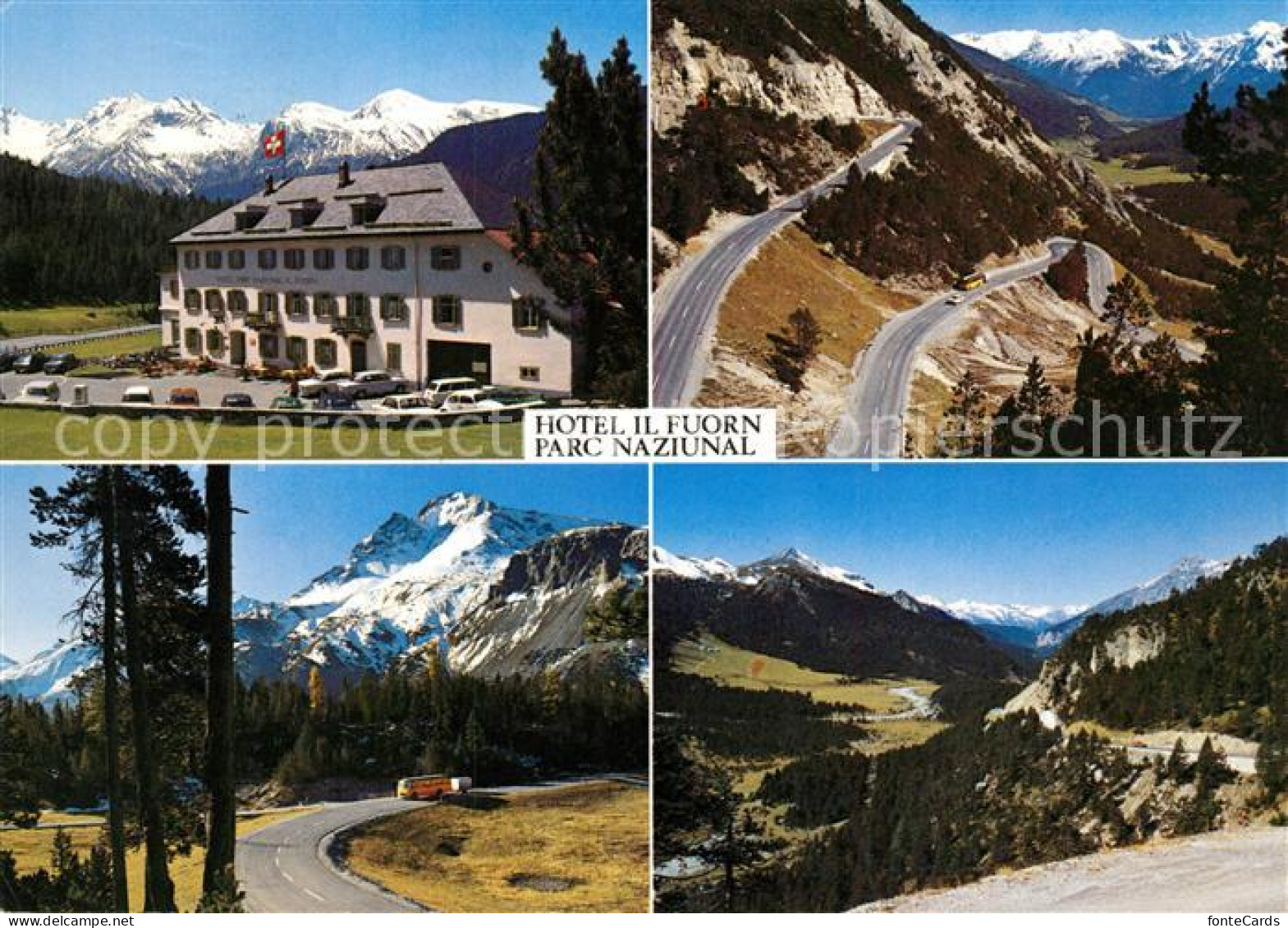 13204147 Zernez GR Hotel Il Fuorn Ofenpass Alp Buffalora Zernez GR - Other & Unclassified