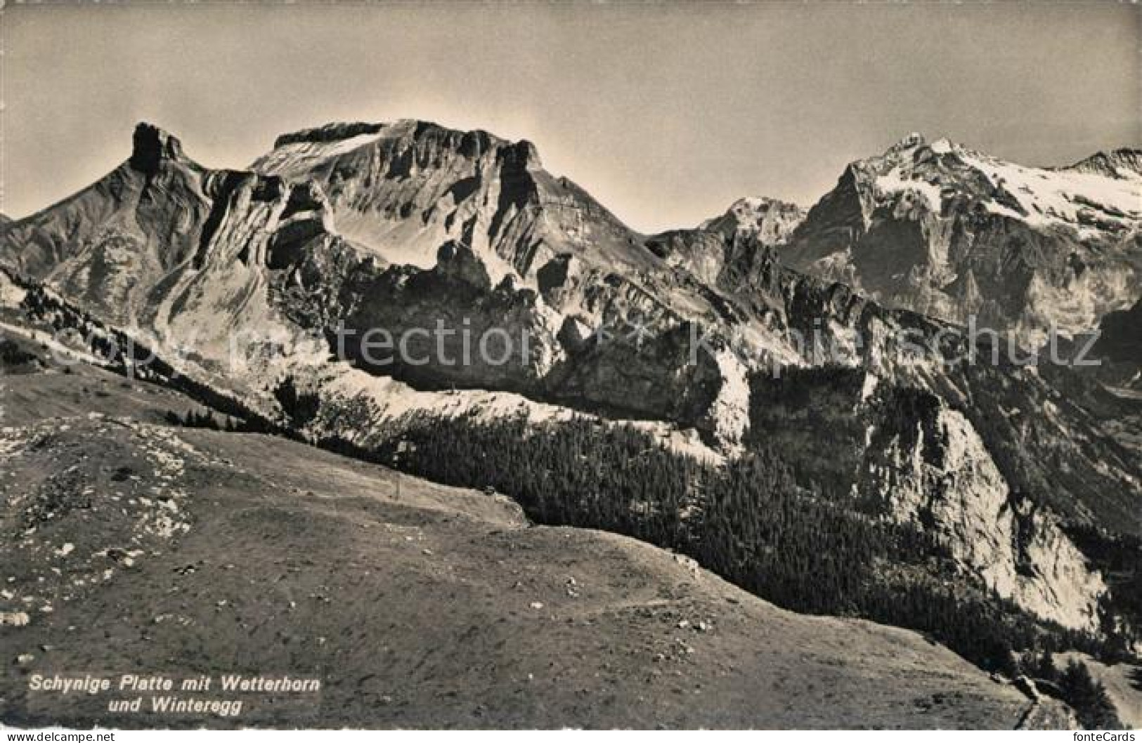 13203149 Wetterhorn Lauterbrunnen Schynige Platte Winteregg Wetterhorn Lauterbru - Otros & Sin Clasificación