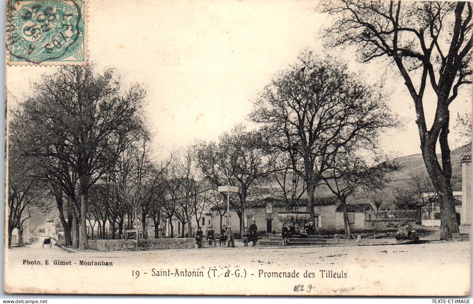 82 SAINT ANTONIN - Promenade Des Tilleuls  - Altri & Non Classificati
