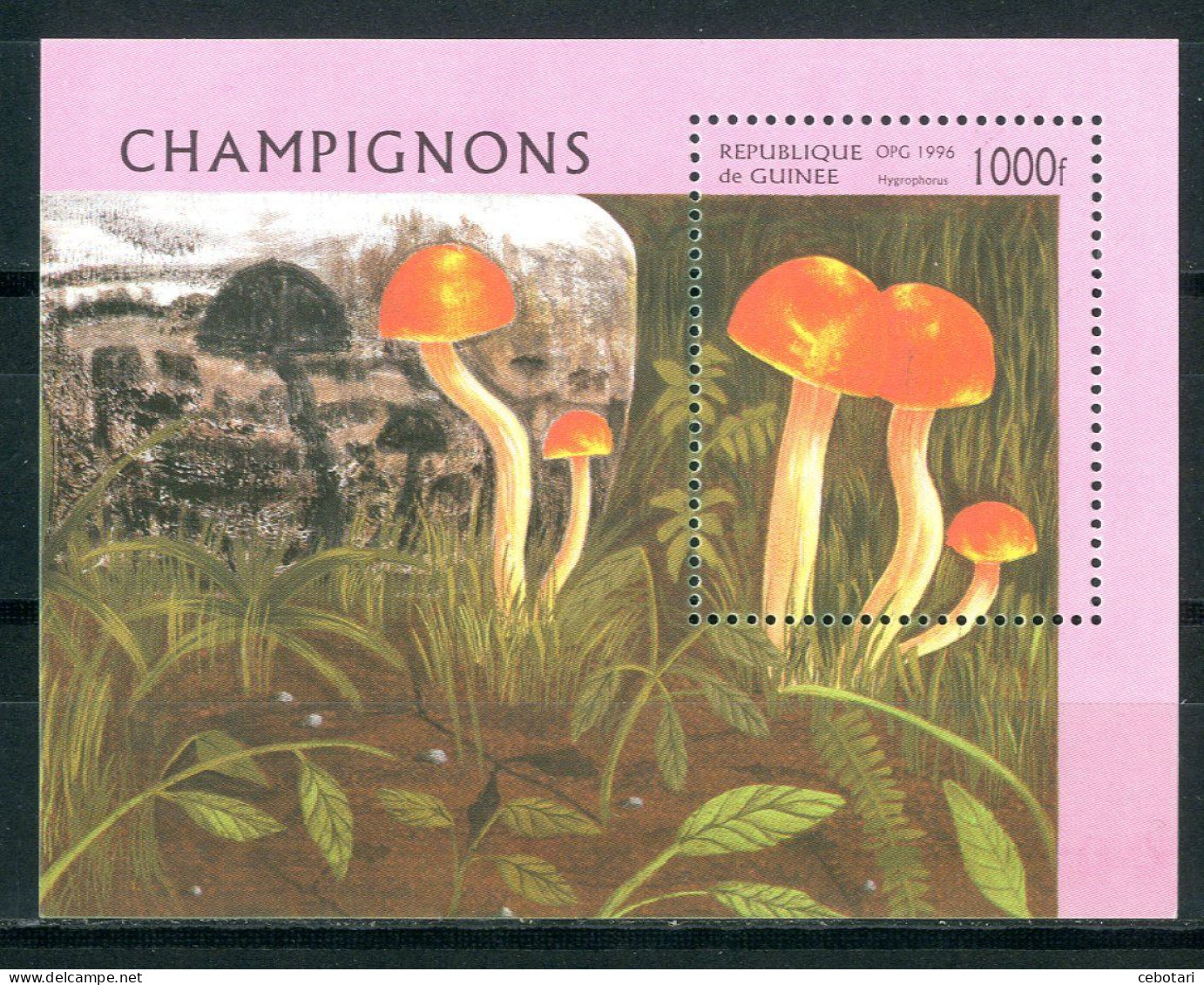 GUINEA / GUINEE 1996** - Funghi / Mushrooms - Miniblock. - Hongos
