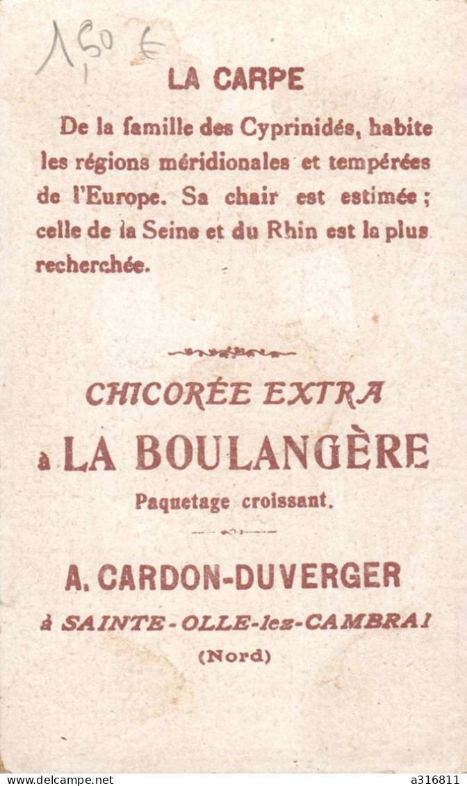 Chromo Chicorée A La Boulangère  La Carpe - Tea & Coffee Manufacturers