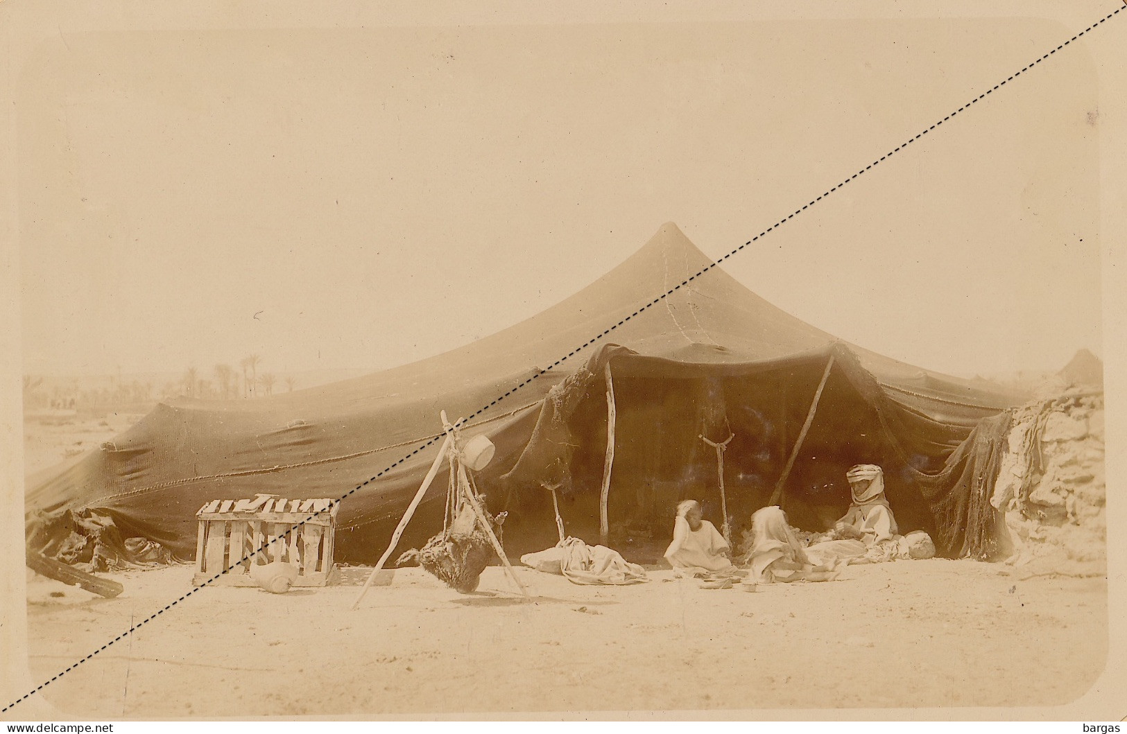 1891 Photo Afrique Algérie Campement Nomade Tente à Djelfa Souvenir Mission Géodésique Militaire Boulard Gentil - Antiche (ante 1900)