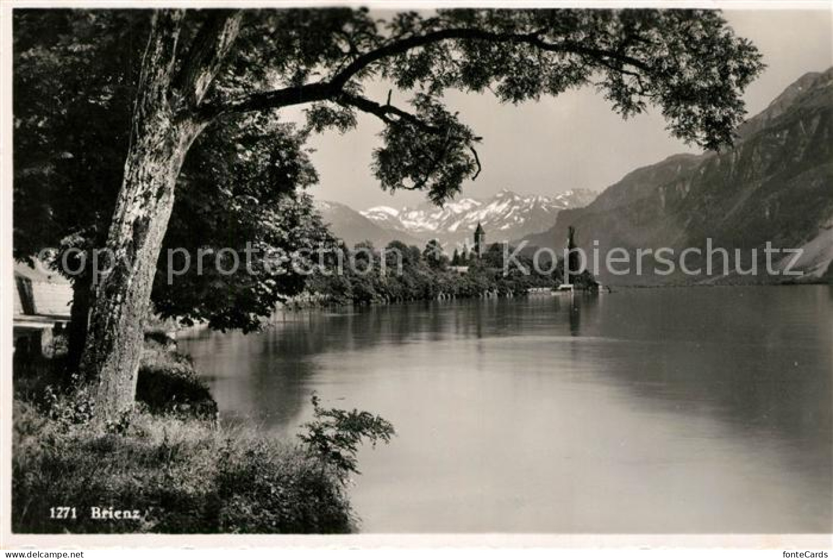 13193047 Brienz BE Panorama Brienz BE - Other & Unclassified