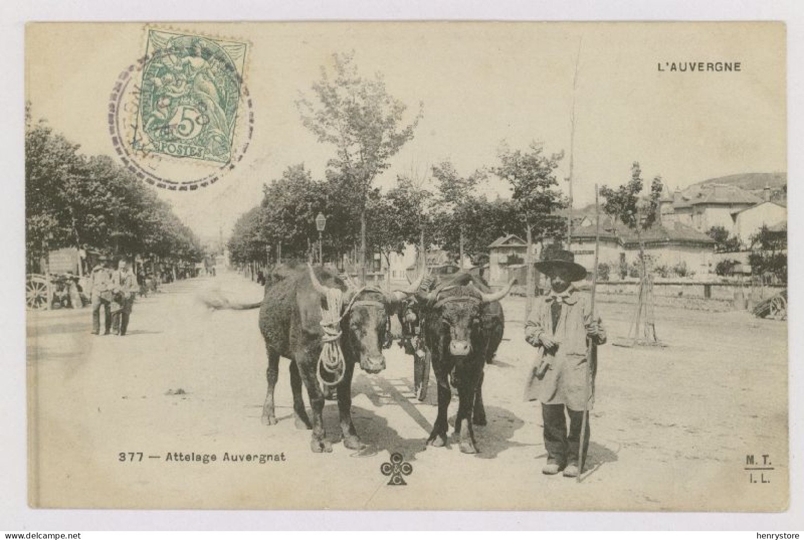 AUVERGNE : Attelage Auvergnat, 1906 (z4193) - Auvergne