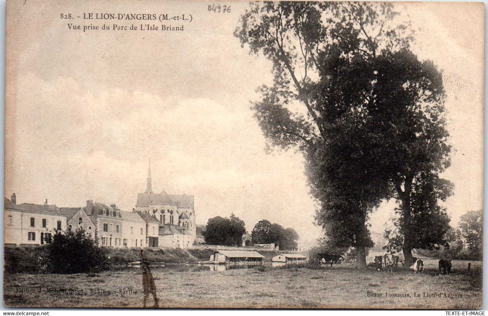 49 LE LION D'ANGERS - Vue Prise Du Parc De L'ile Briand  - Autres & Non Classés