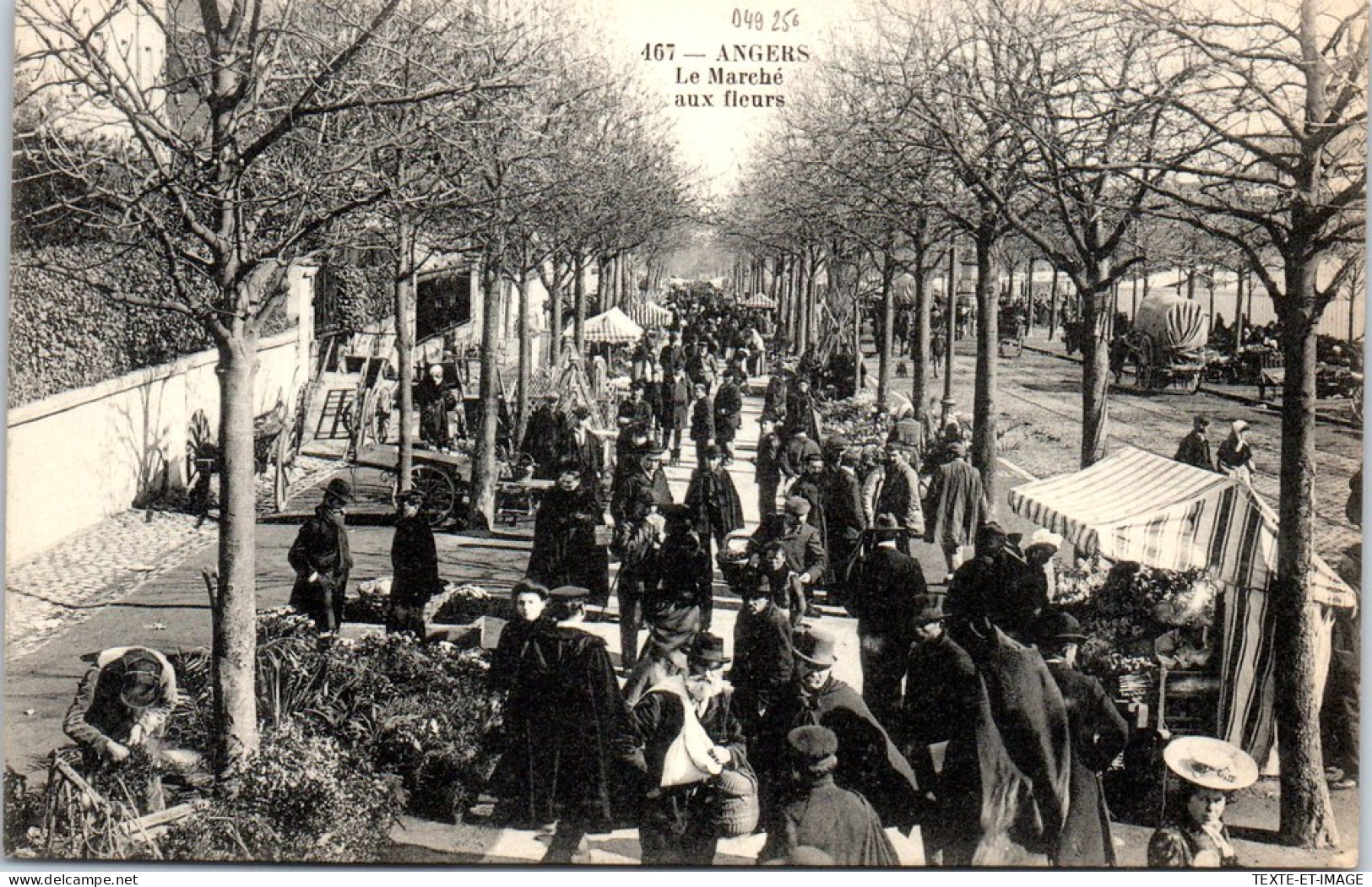 49 ANGERS - Vue Du Marche Aux Fleurs. - Angers