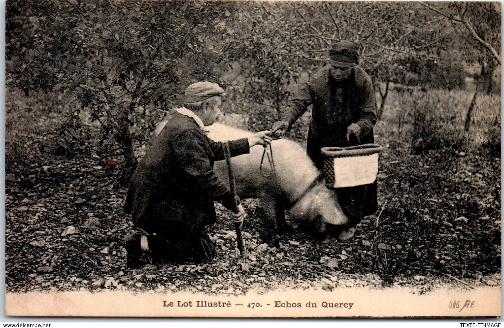 46 - Type Du Lor, Les Echos Du Quercy, Chasse Aux Truffes - Sonstige & Ohne Zuordnung