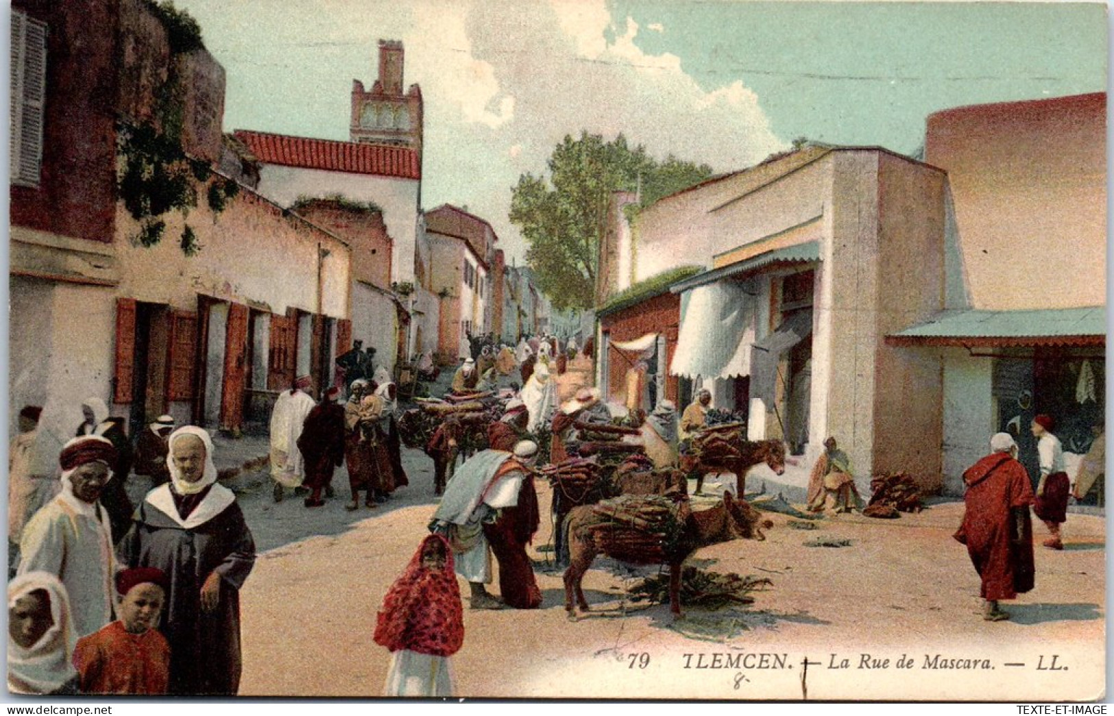 ALGERIE - TLEMCEN - La Rue De Mascara  - Tlemcen