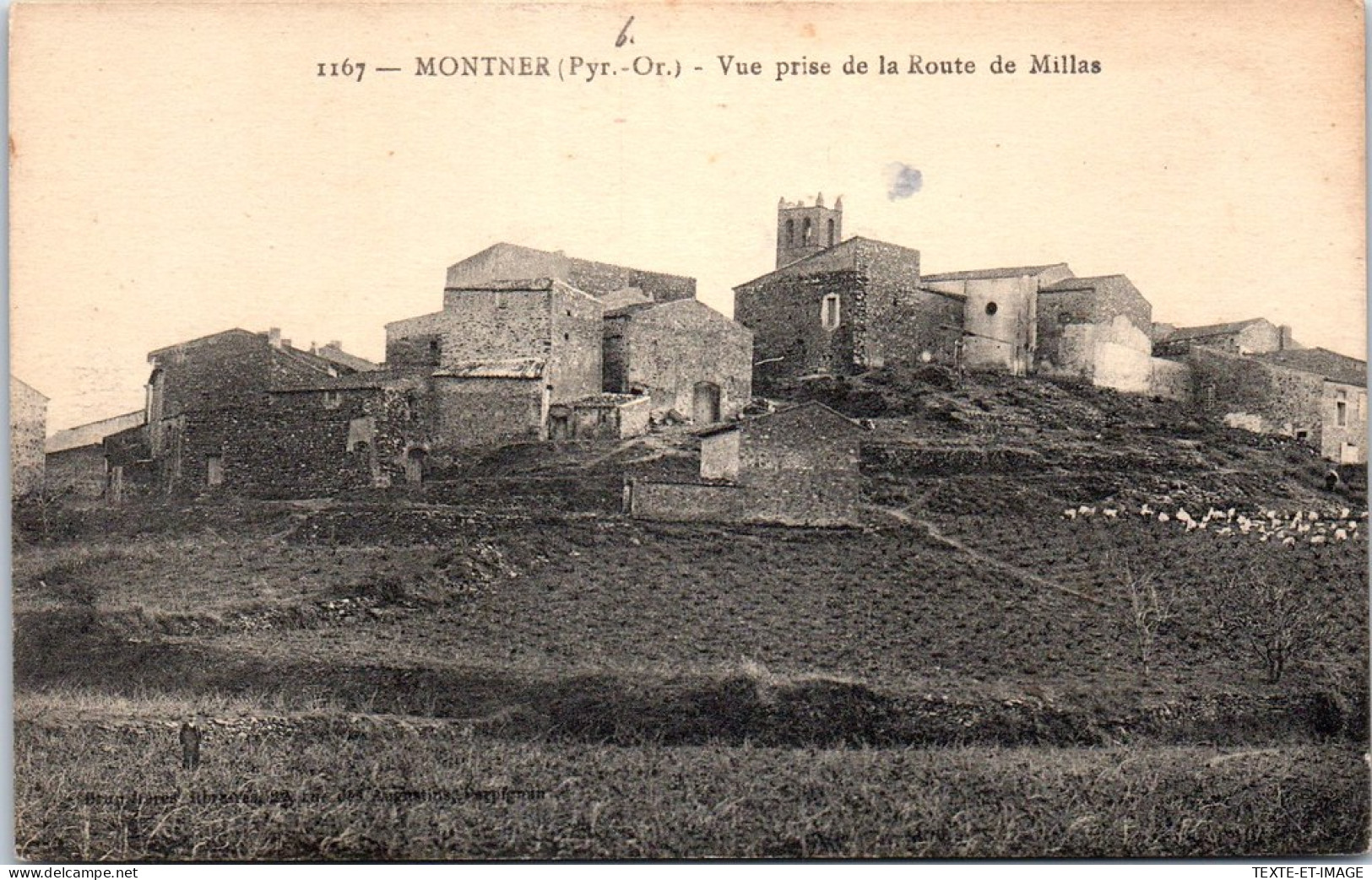 66 MONTNER - Vue Prise De La Route De Millas.  - Other & Unclassified