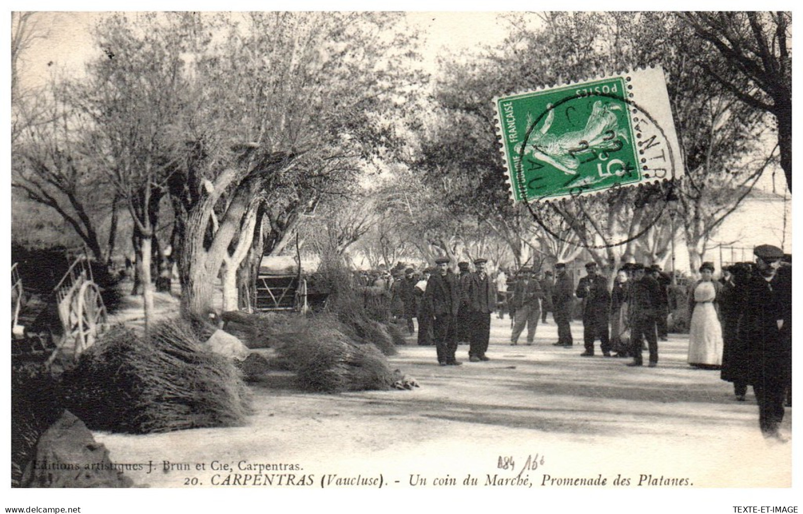 84 CARPENTRAS - Un Coin Du Marche, Promenade Des Platanes - Carpentras