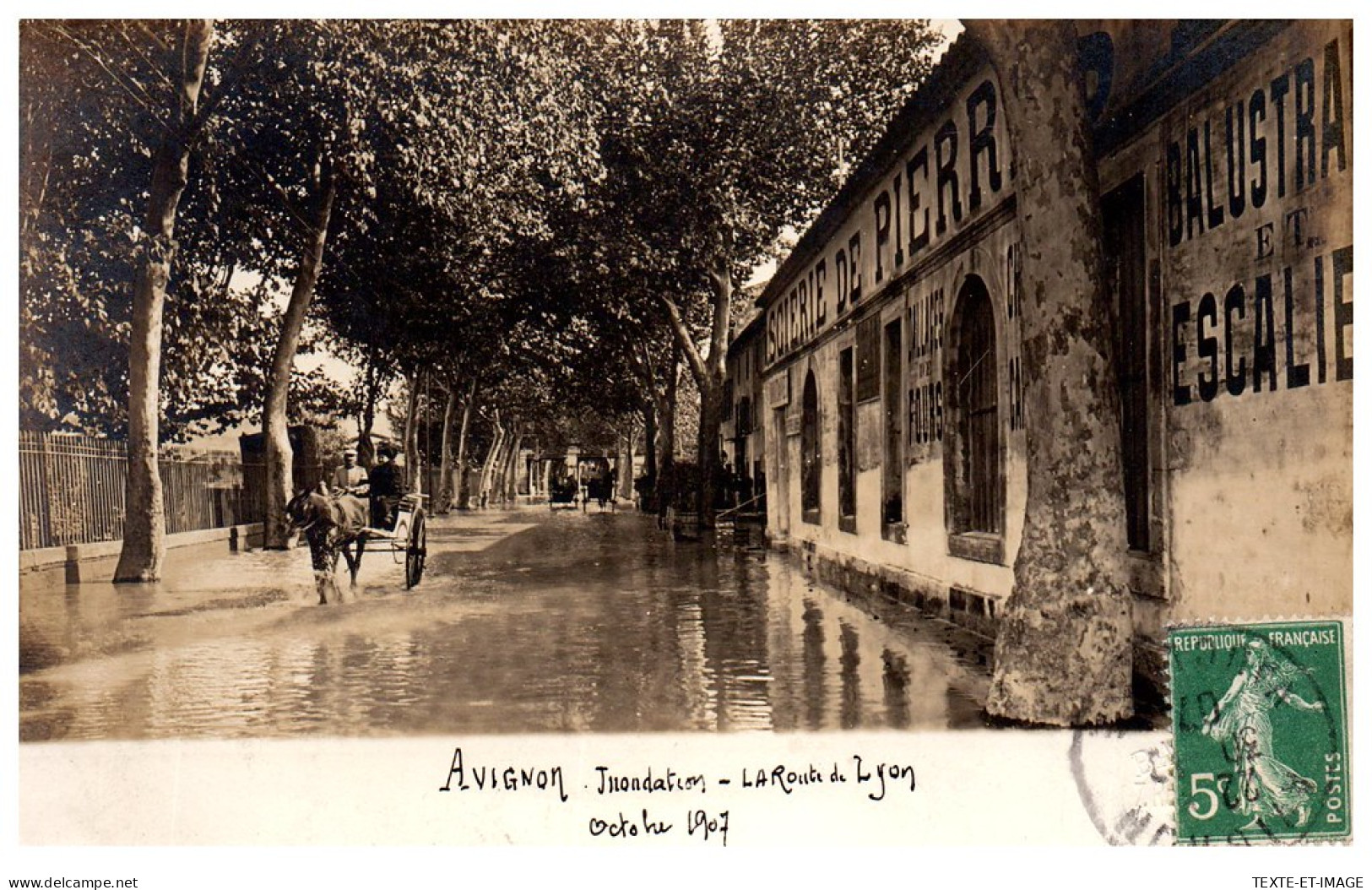 84 AVIGNON - CARTE PHOTO - Crue 1907, Route De Lyon  - Avignon