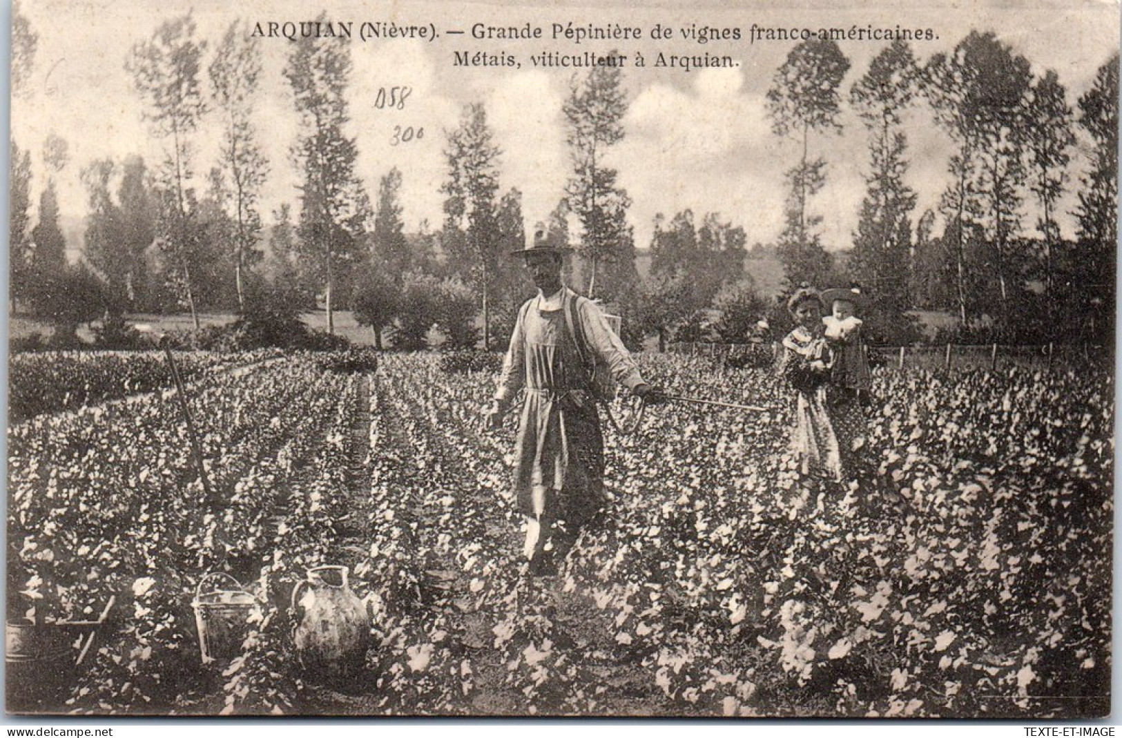 58 ARQUIAN - Grande Pepiniere De Vignes Franco-americaine  - Other & Unclassified
