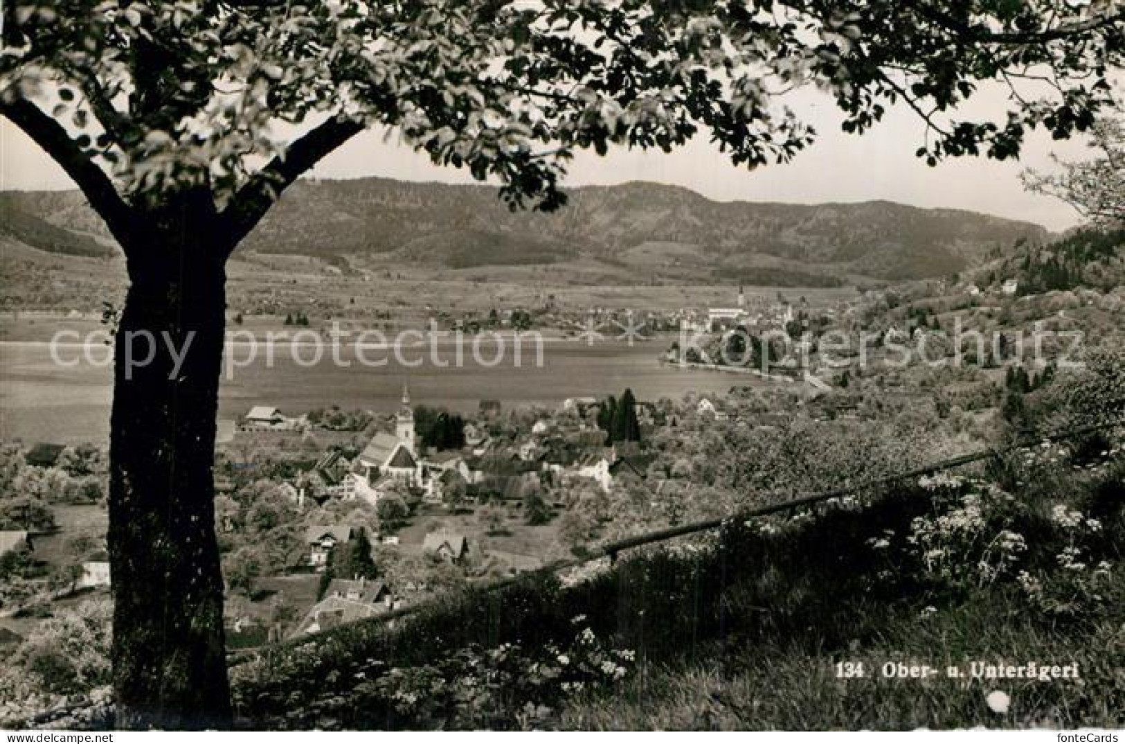 13191837 Oberaegeri Unteraegeri Seepanorama Oberaegeri - Sonstige & Ohne Zuordnung