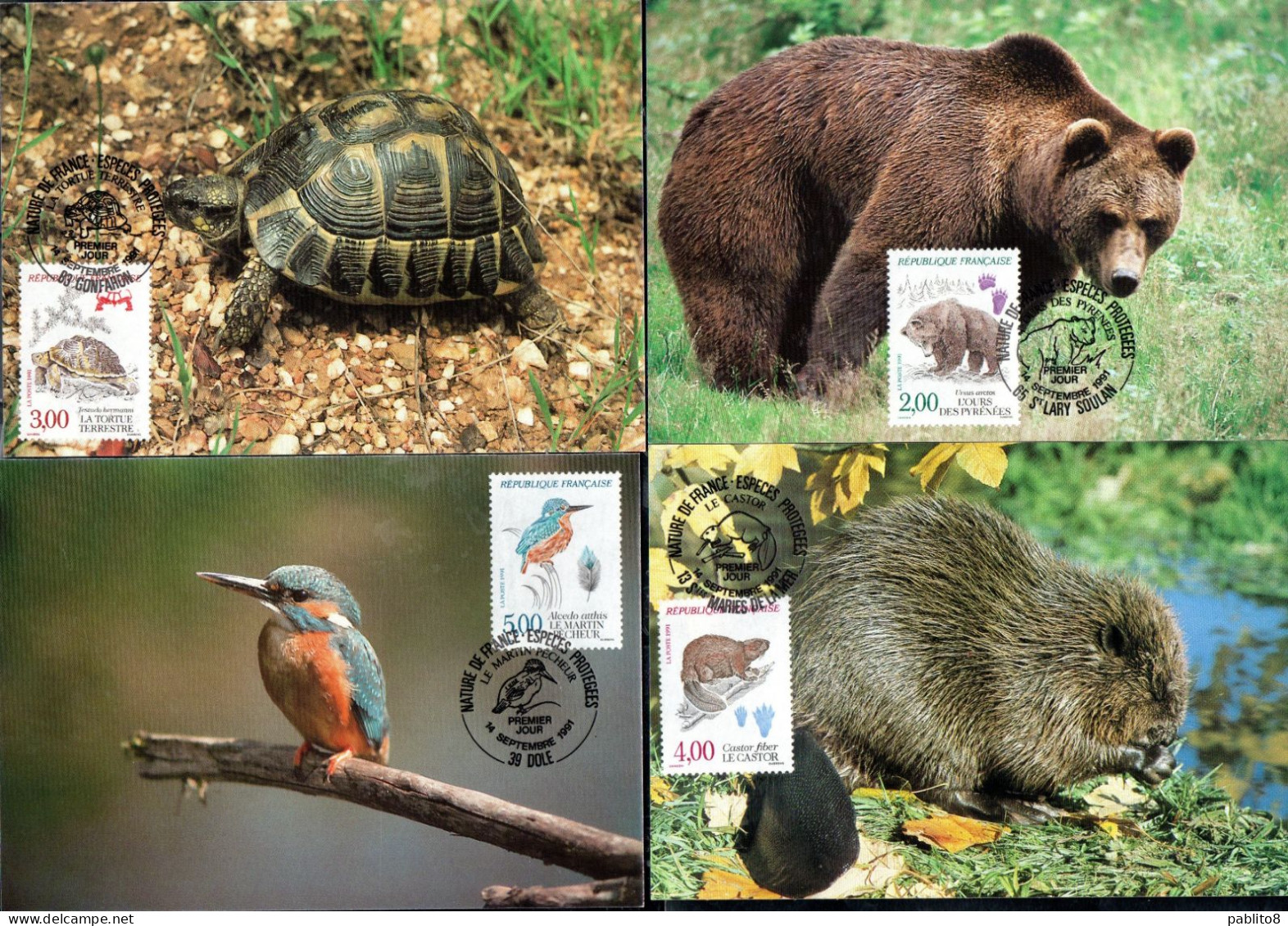 FRANCE FRANCIA 1991FAUNA ANIMALS ANIMAUX WILDLIFE Ours/tortue/castor/martin Pecheur COMPLETE SET MAXI MAXIMUM CARD CARTE - 1990-1999