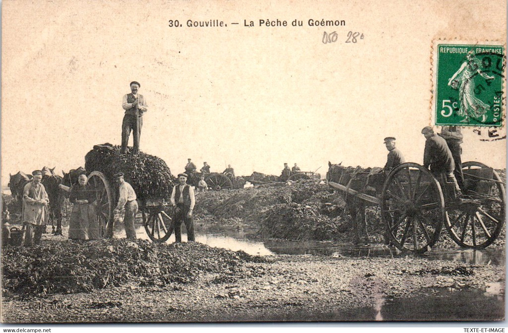 50 GOUVILLE - La Peche Du Goemon  - Other & Unclassified