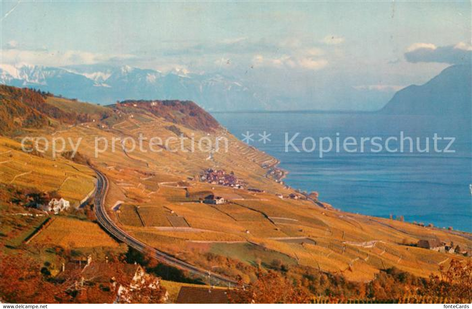 13191327 Lavaux VD Panorama Lavaux VD - Autres & Non Classés