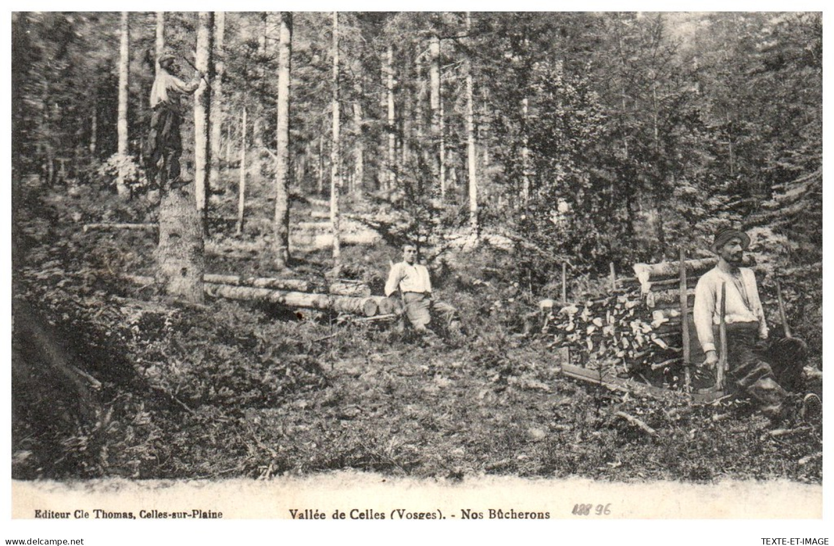 88 Vallee De Celles - Nos Bucherons. - Sonstige & Ohne Zuordnung