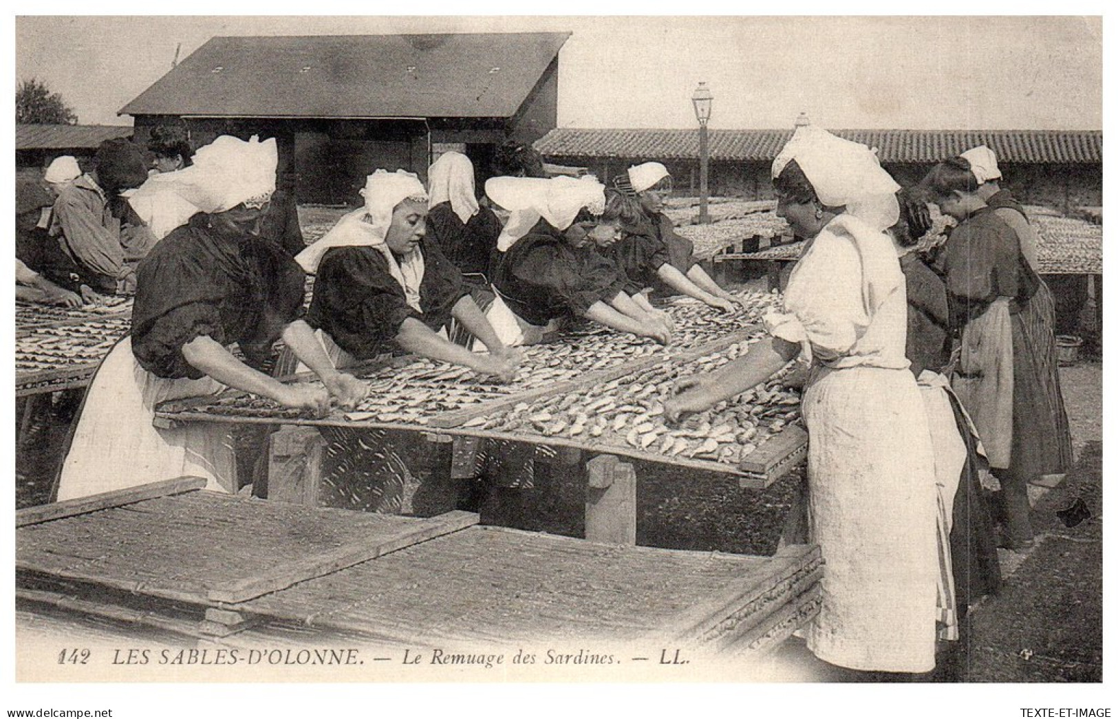 85 LES SABLES D'OLONNE - Le Remuage Des Sardines  - Sables D'Olonne