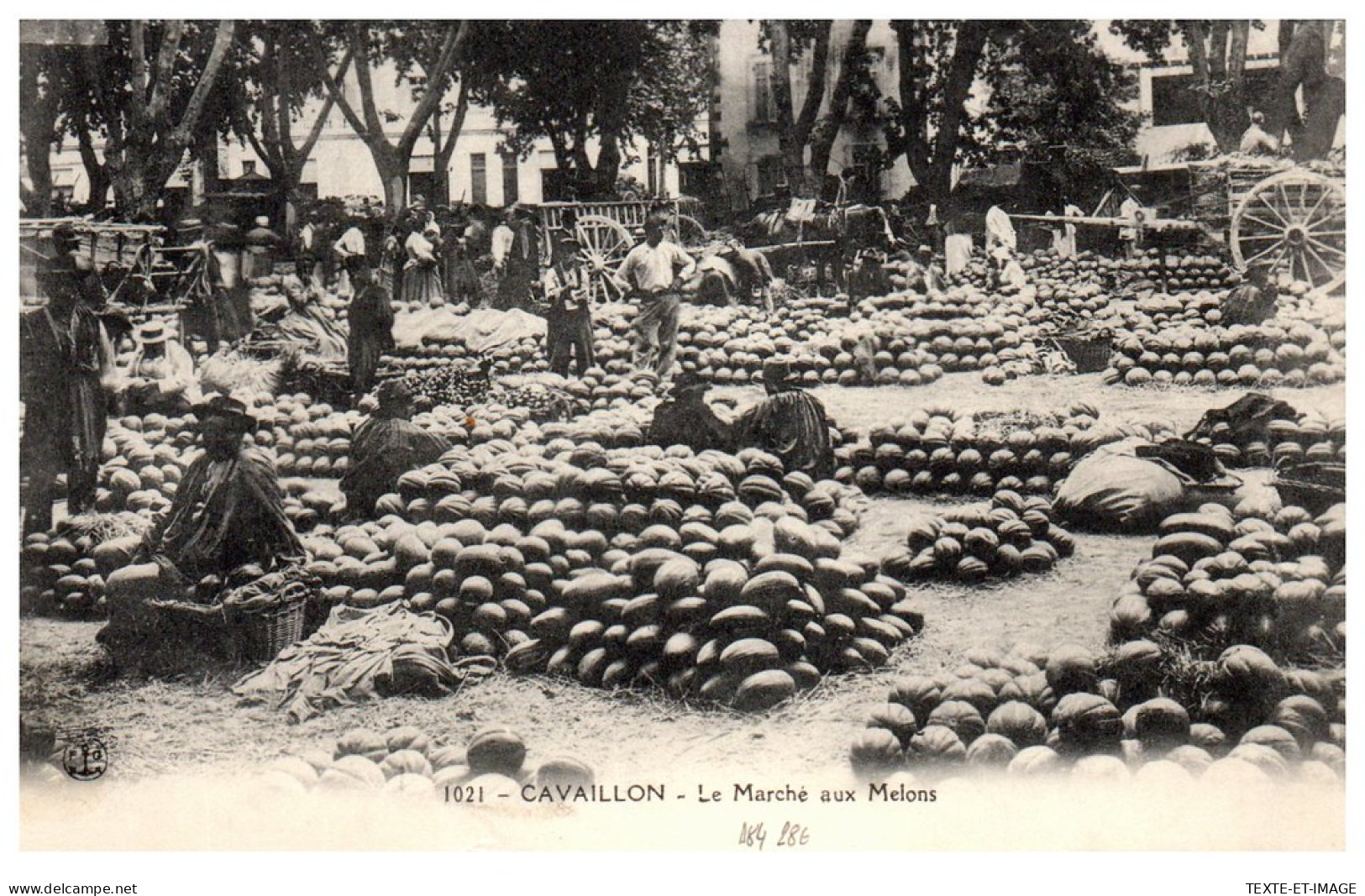 84 CAVAILLON - Le Marche Aux Melons. - Cavaillon