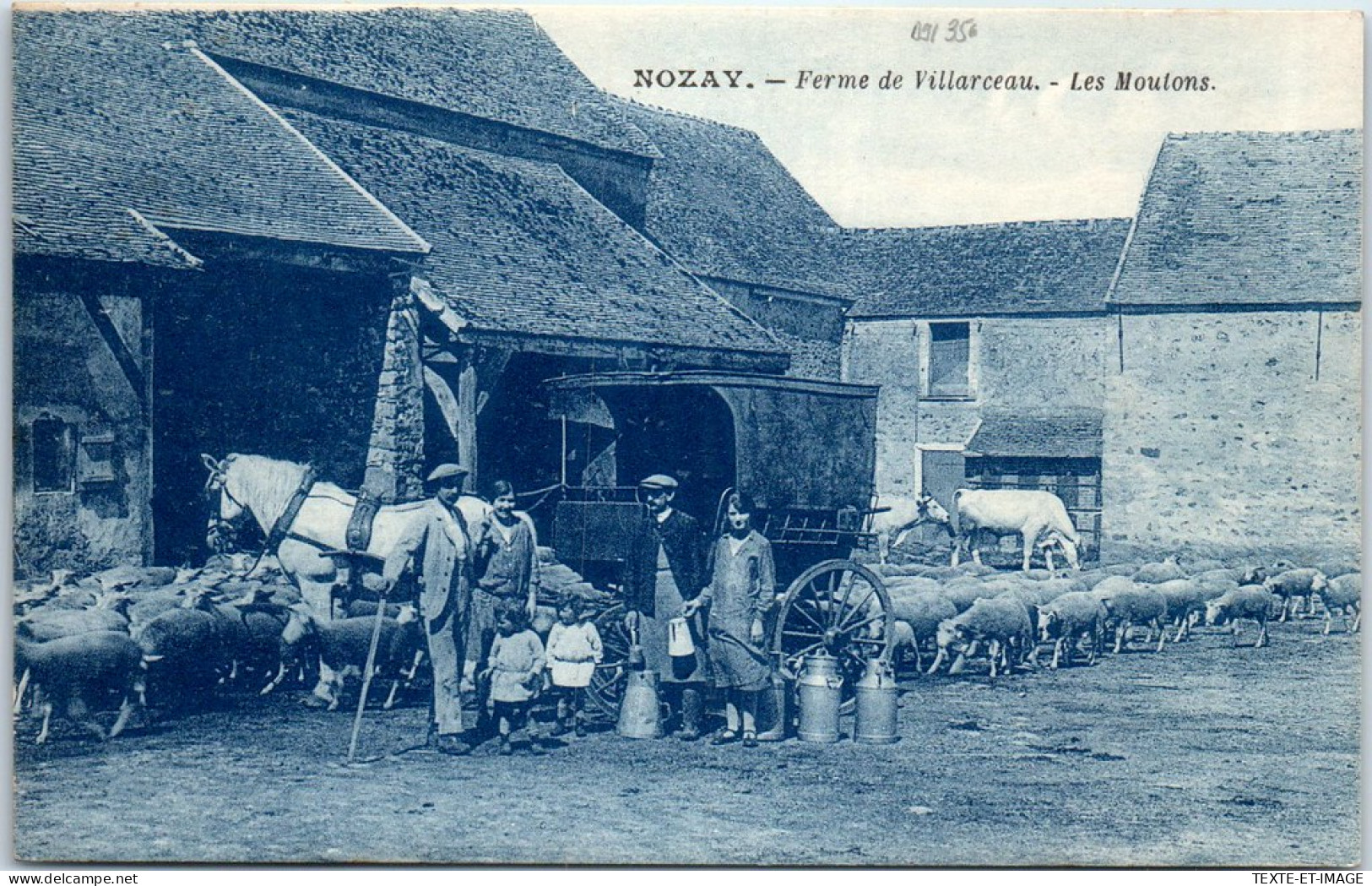 91 NOZAY - Ferme De Villarceau - Les Moutons. - Autres & Non Classés
