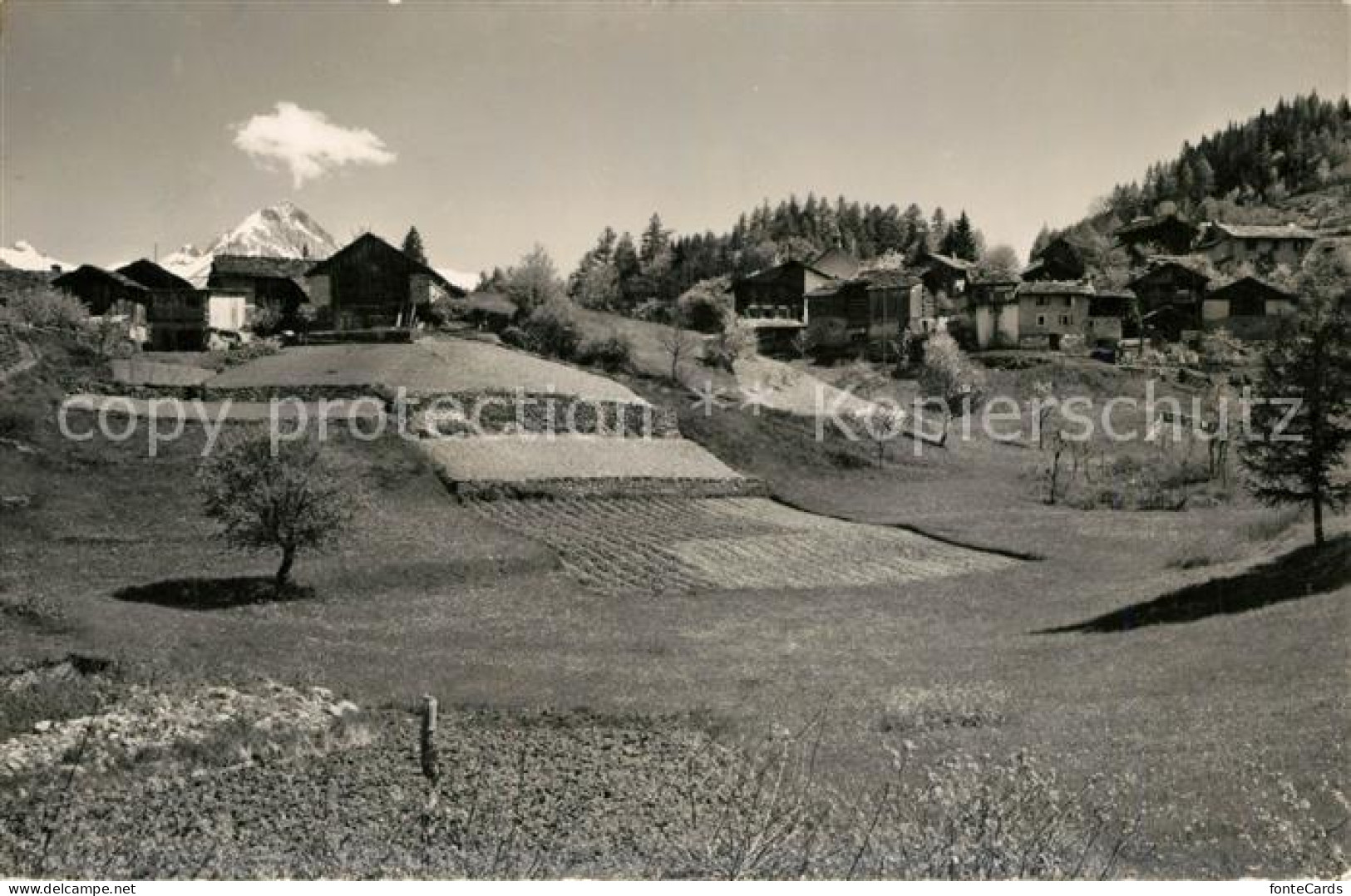 13189907 Chemin Entremont Martigny Chemin Entremont - Other & Unclassified