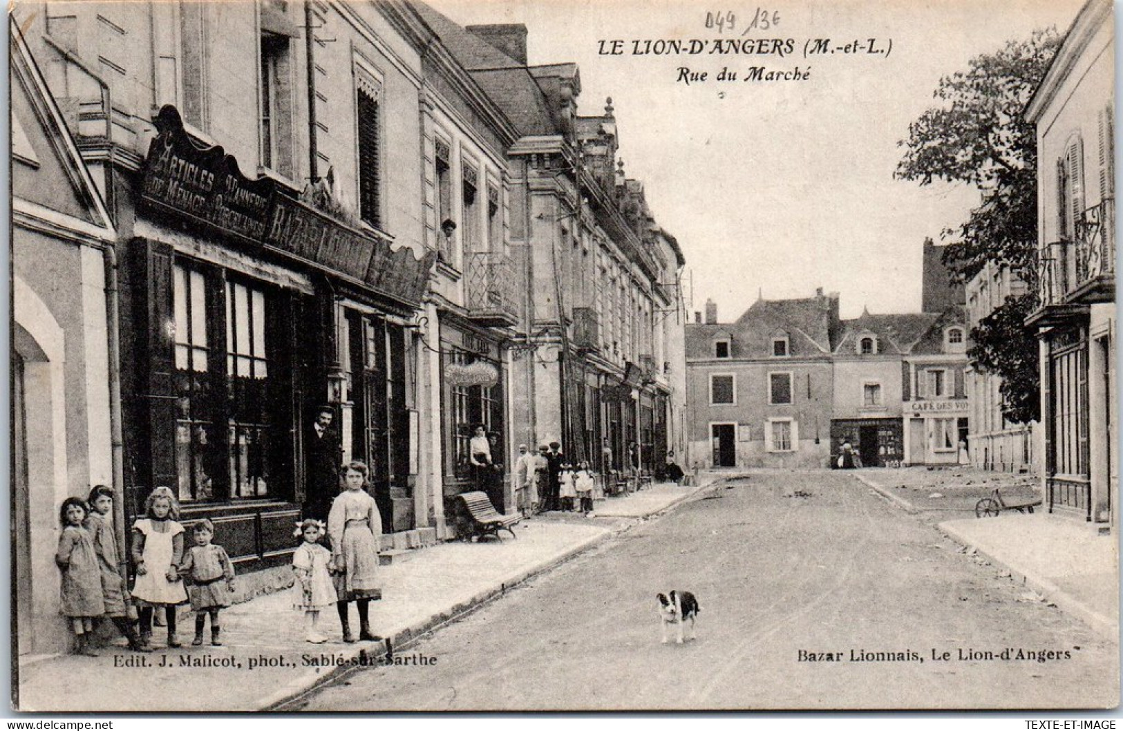 49 LE LION D'ANGERS - Rue Du Marche  - Other & Unclassified