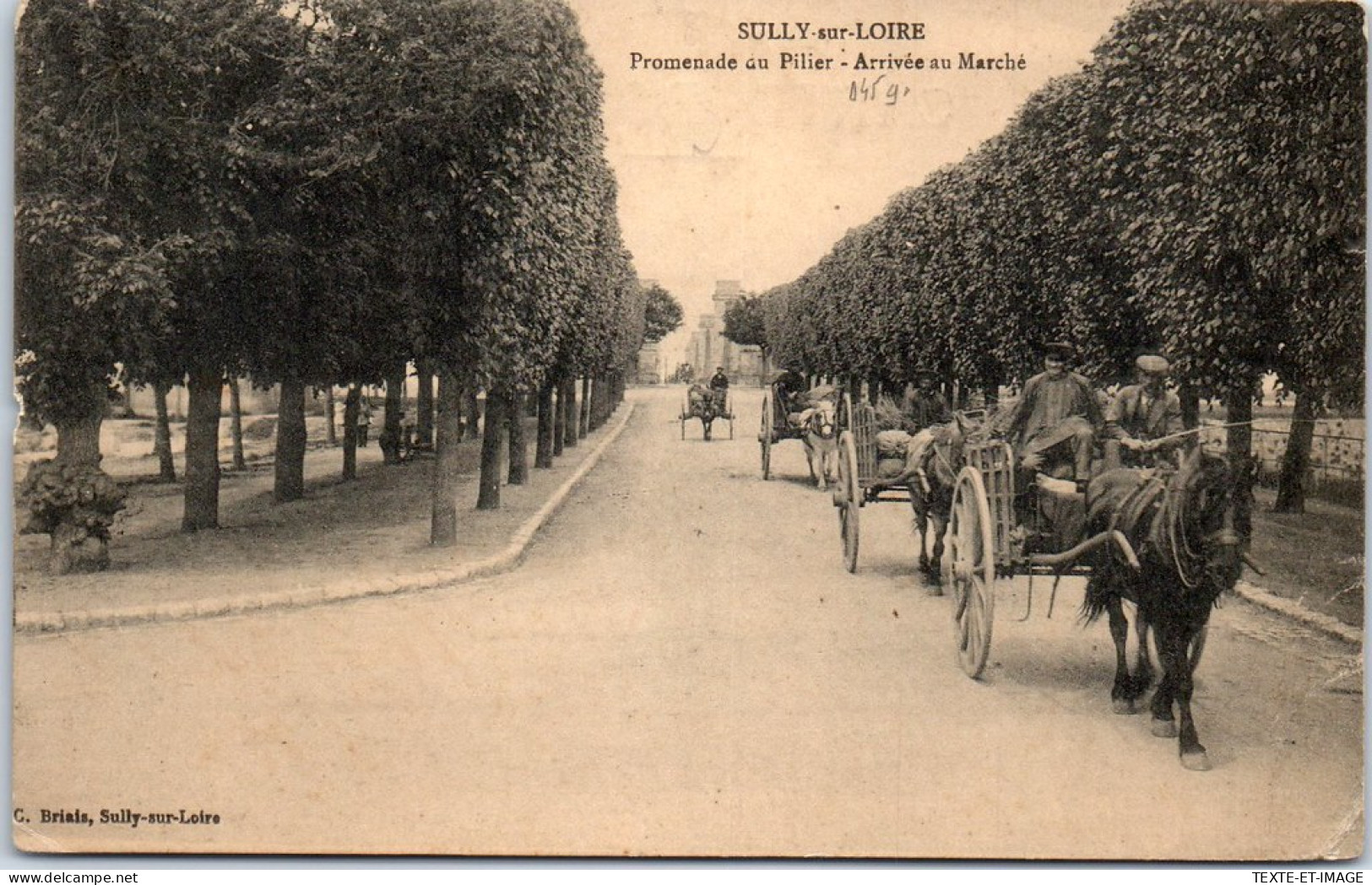 45 SULLY SUR LOIRE - Promenade Du Pilier, Arrivee Au Marche  - Sully Sur Loire
