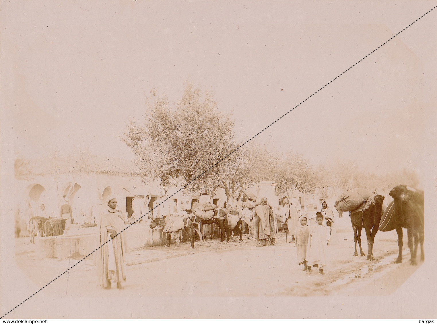 1891 Photo Afrique Algérie Place De L'abreuvoir Marché Djelfa Souvenir Mission Géodésique Militaire Boulard Gentil - Alte (vor 1900)