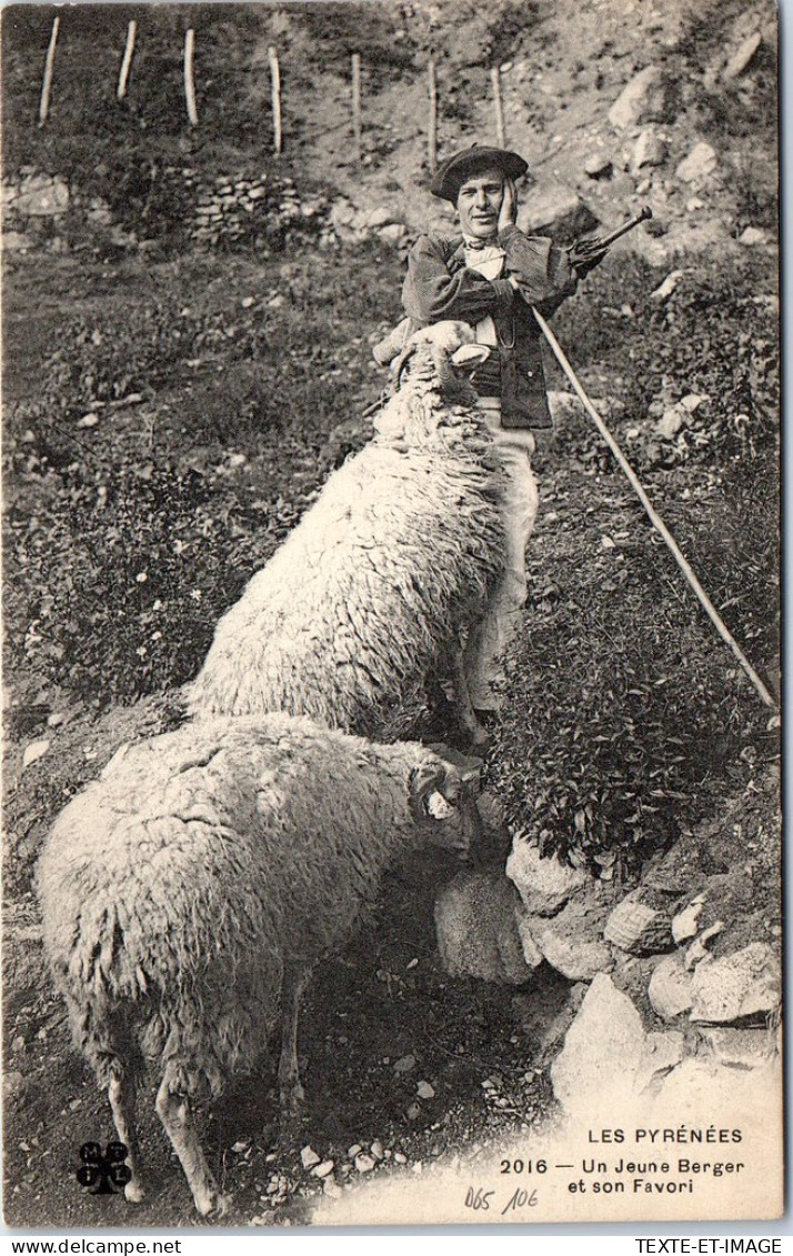 65 - Type Des Pyrenees - Un Jeune Berger Et Son Favori  - Andere & Zonder Classificatie