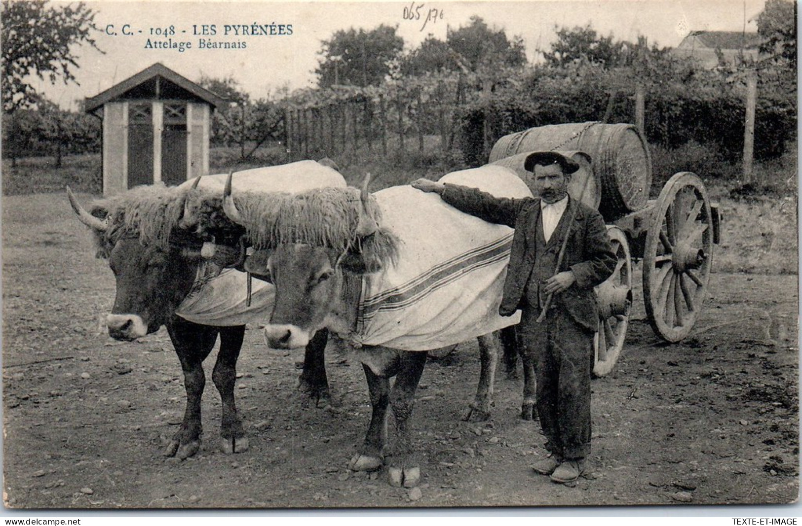 65 - Type Des Pyrenees, Un Attelage Bearnais. - Autres & Non Classés