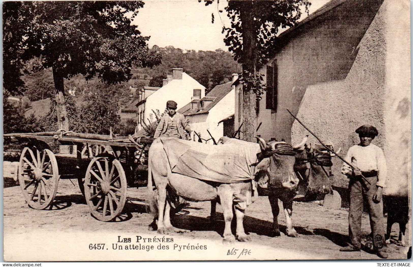 65 - Les Pyrenees, Un Attelage Des Pyrenees. - Autres & Non Classés
