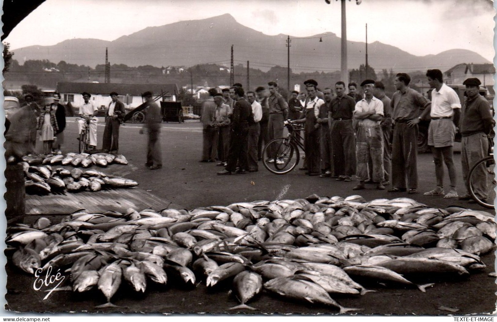 64 SAINT JEAN DE LUZ - Au Port, Vente De Poisson A La Criee - Saint Jean De Luz