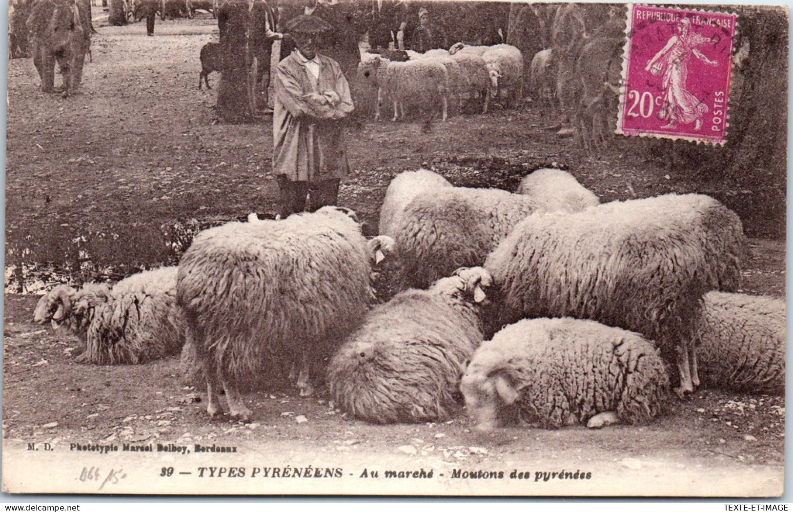 64 - Types Pyrenees - Au Marche - Moutons Des Pyrenees  - Other & Unclassified